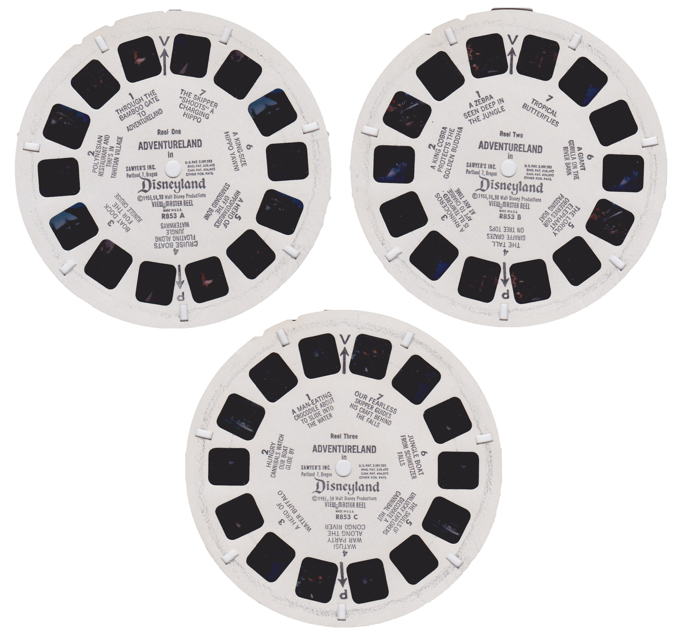 Reel(s)